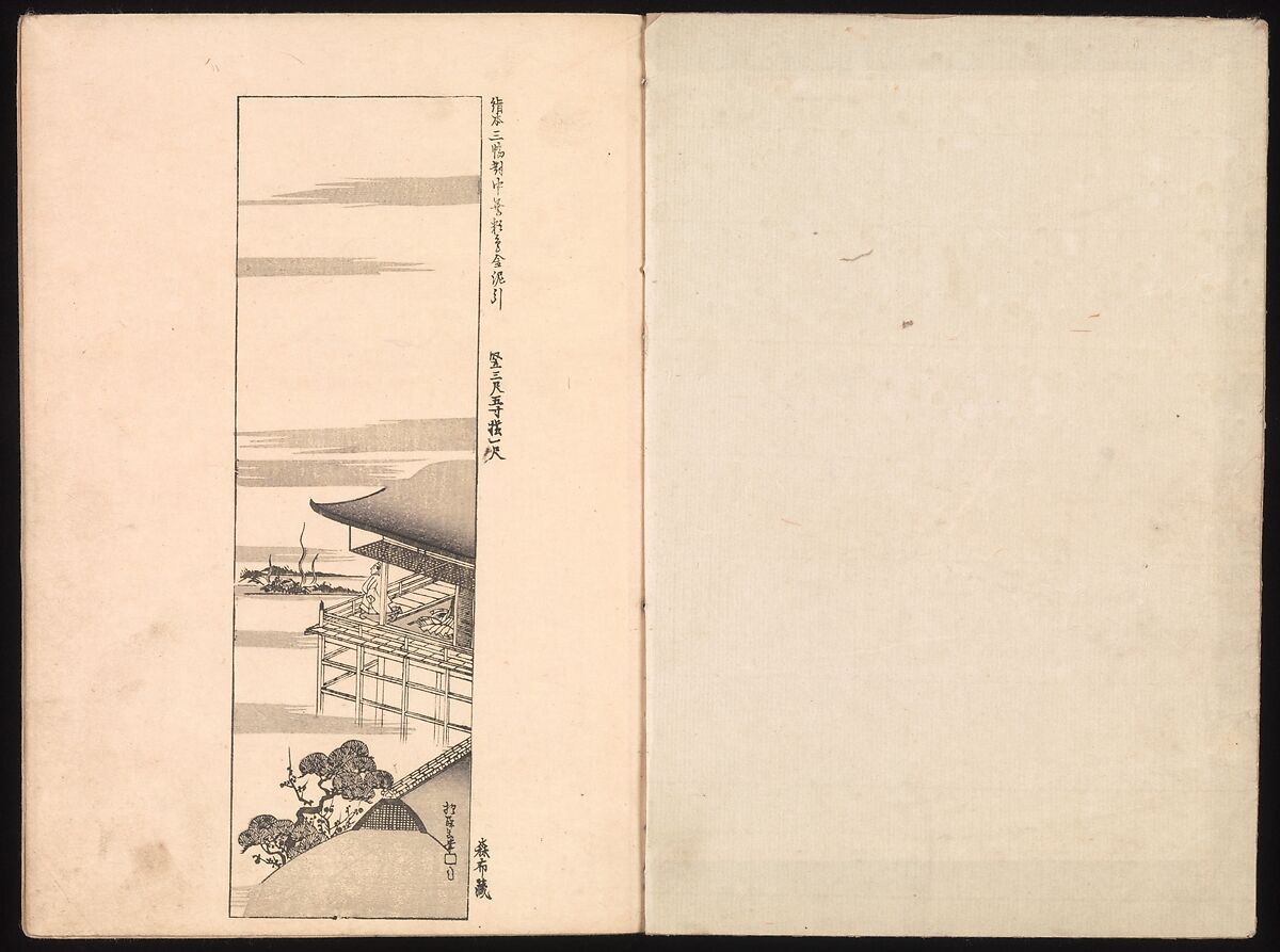 Mirror of Genuine Work of Monk Hōitsu (Hōitsu shōnin shinseki kagami), Ikeda Koson (Japanese, 1803–1868), Set of two woodblock printed books; ink and color on paper, Japan