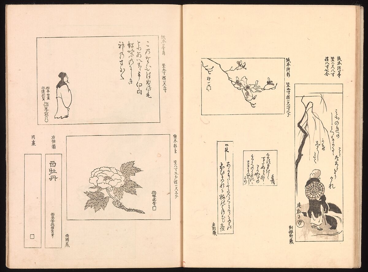 Mirror of Genuine Work of Monk Hōitsu (Hōitsu shōnin shinseki kagami), Ikeda Koson (Japanese, 1803–1868), Set of two woodblock printed books; ink and color on paper, Japan