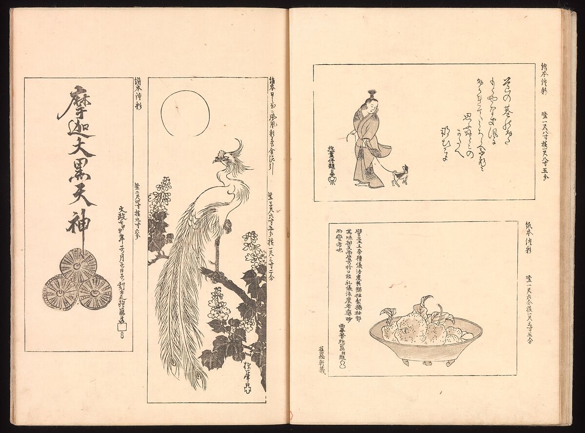 Mirror of Genuine Work of Monk Hōitsu (Hōitsu shōnin shinseki kagami), Ikeda Koson (Japanese, 1803–1868), Set of two woodblock printed books; ink and color on paper, Japan
