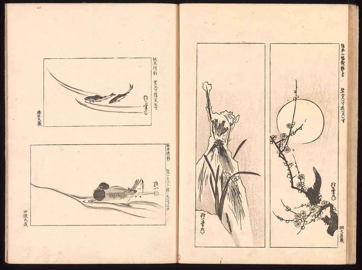 Mirror of Genuine Work of Monk Hōitsu (Hōitsu shōnin shinseki kagami), Ikeda Koson (Japanese, 1803–1868), Set of two woodblock printed books; ink and color on paper, Japan