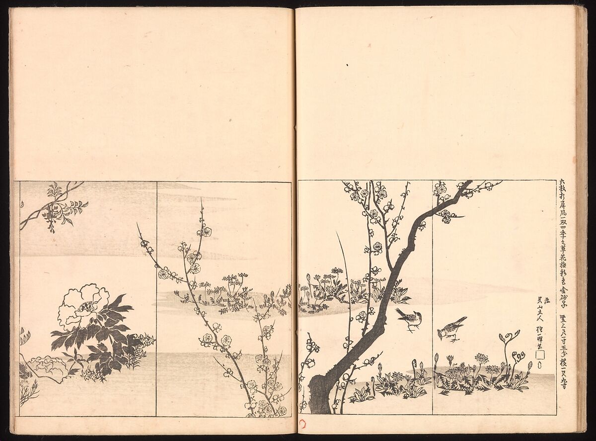 Mirror of Genuine Work of Monk Hōitsu (Hōitsu shōnin shinseki kagami), Ikeda Koson (Japanese, 1803–1868), Set of two woodblock printed books; ink and color on paper, Japan