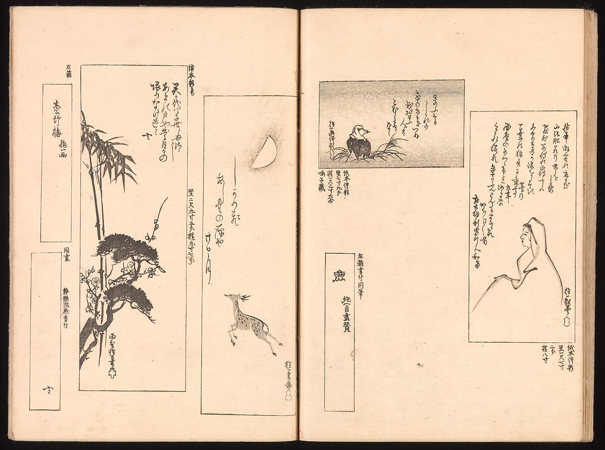Mirror of Genuine Work of Monk Hōitsu (Hōitsu shōnin shinseki kagami), Ikeda Koson (Japanese, 1803–1868), Set of two woodblock printed books; ink and color on paper, Japan