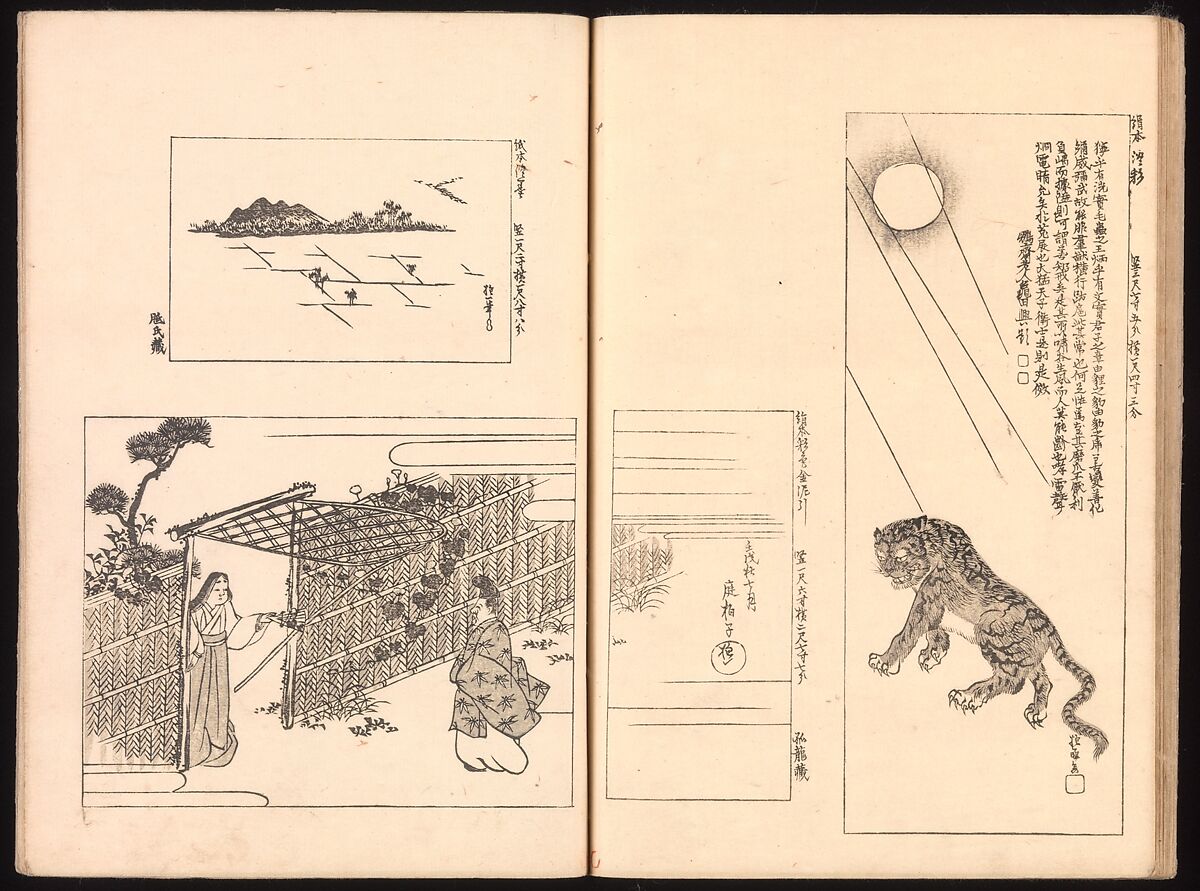 Mirror of Genuine Work of Monk Hōitsu (Hōitsu shōnin shinseki kagami), Ikeda Koson (Japanese, 1803–1868), Set of two woodblock printed books; ink and color on paper, Japan