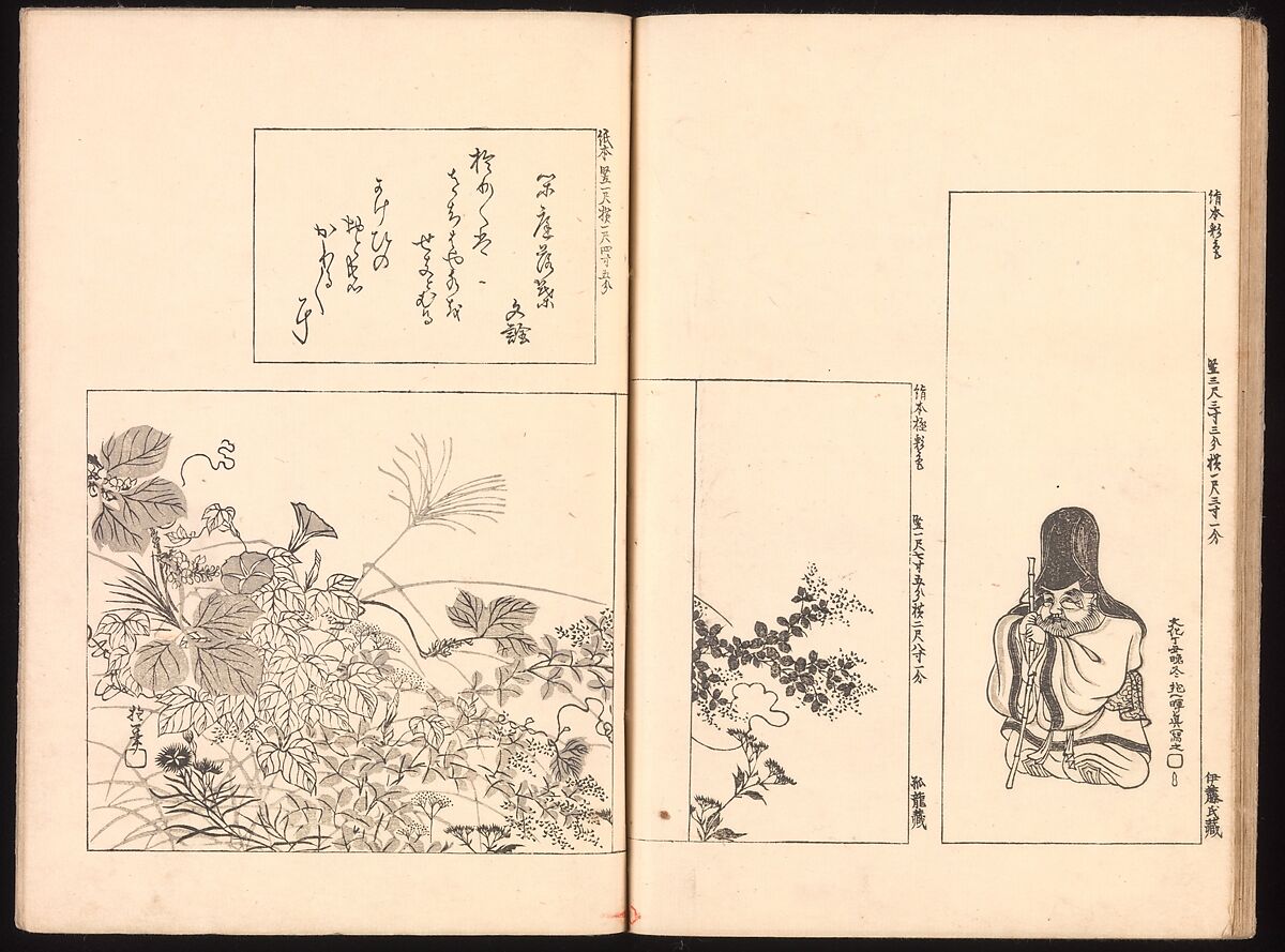 Mirror of Genuine Work of Monk Hōitsu (Hōitsu shōnin shinseki kagami), Ikeda Koson (Japanese, 1803–1868), Set of two woodblock printed books; ink and color on paper, Japan