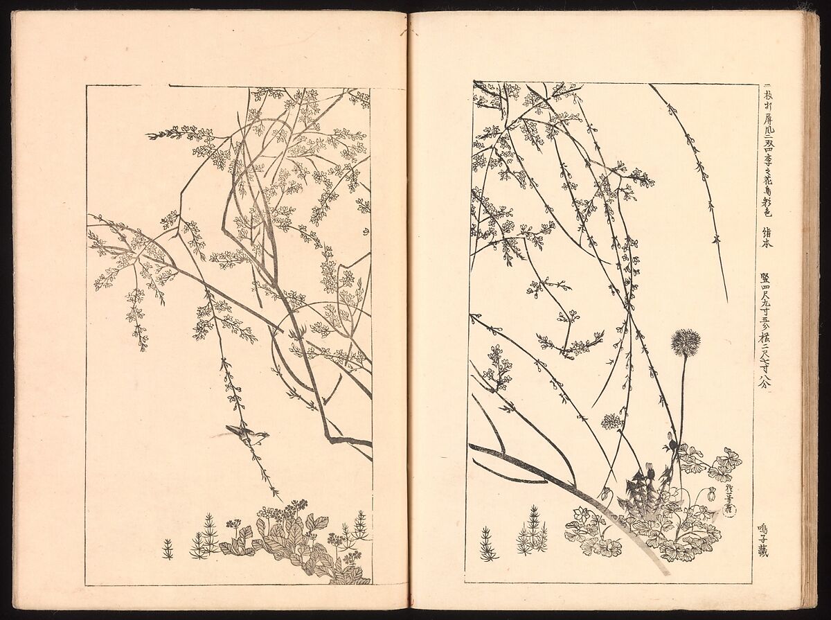 Mirror of Genuine Work of Monk Hōitsu (Hōitsu shōnin shinseki kagami), Ikeda Koson (Japanese, 1803–1868), Set of two woodblock printed books; ink and color on paper, Japan