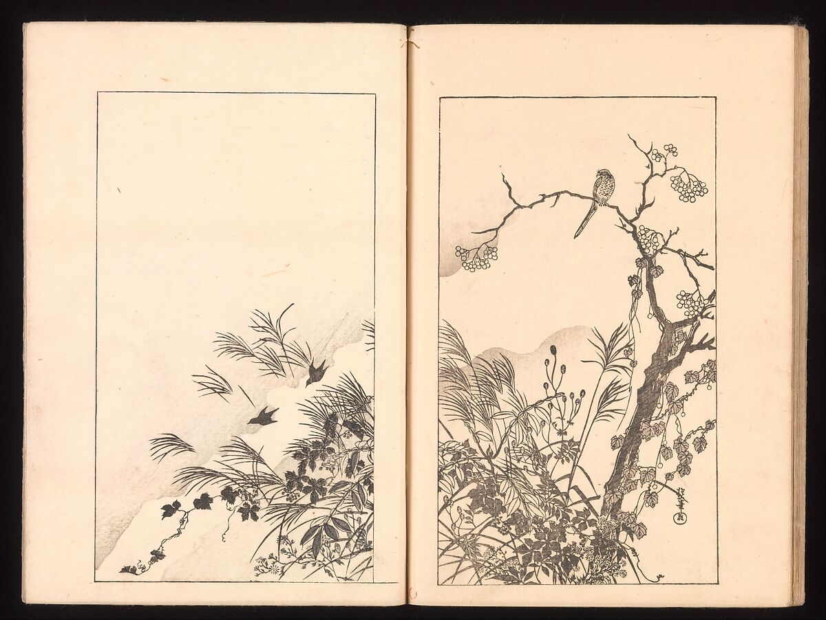 Mirror of Genuine Work of Monk Hōitsu (Hōitsu shōnin shinseki kagami), Ikeda Koson (Japanese, 1803–1868), Set of two woodblock printed books; ink and color on paper, Japan