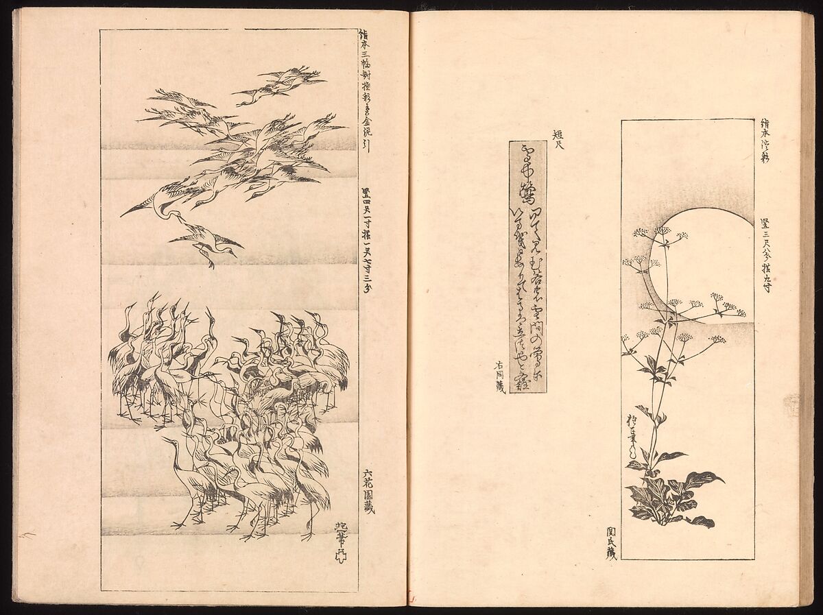 Mirror of Genuine Work of Monk Hōitsu (Hōitsu shōnin shinseki kagami), Ikeda Koson (Japanese, 1803–1868), Set of two woodblock printed books; ink and color on paper, Japan