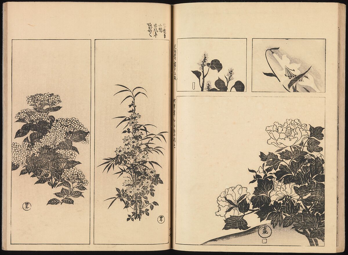 One Hundred Paintings of the Ogata Lineage (Ogata ryu hyakuzu), Nakano Kimei (Japanese, 1834–1892), Set of two Woodblock printed books; ink on paper, Japan
