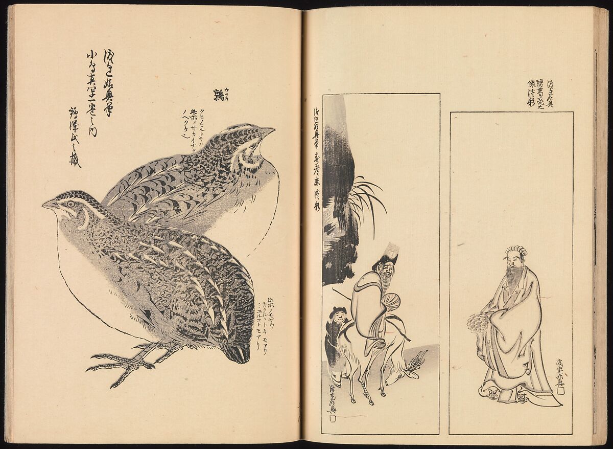 One Hundred Paintings of the Ogata Lineage (Ogata ryu hyakuzu), Nakano Kimei (Japanese, 1834–1892), Set of two Woodblock printed books; ink on paper, Japan