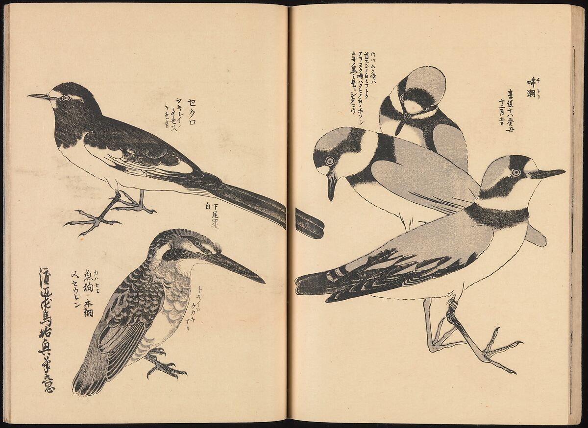 One Hundred Paintings of the Ogata Lineage (Ogata ryu hyakuzu), Nakano Kimei (Japanese, 1834–1892), Set of two Woodblock printed books; ink on paper, Japan