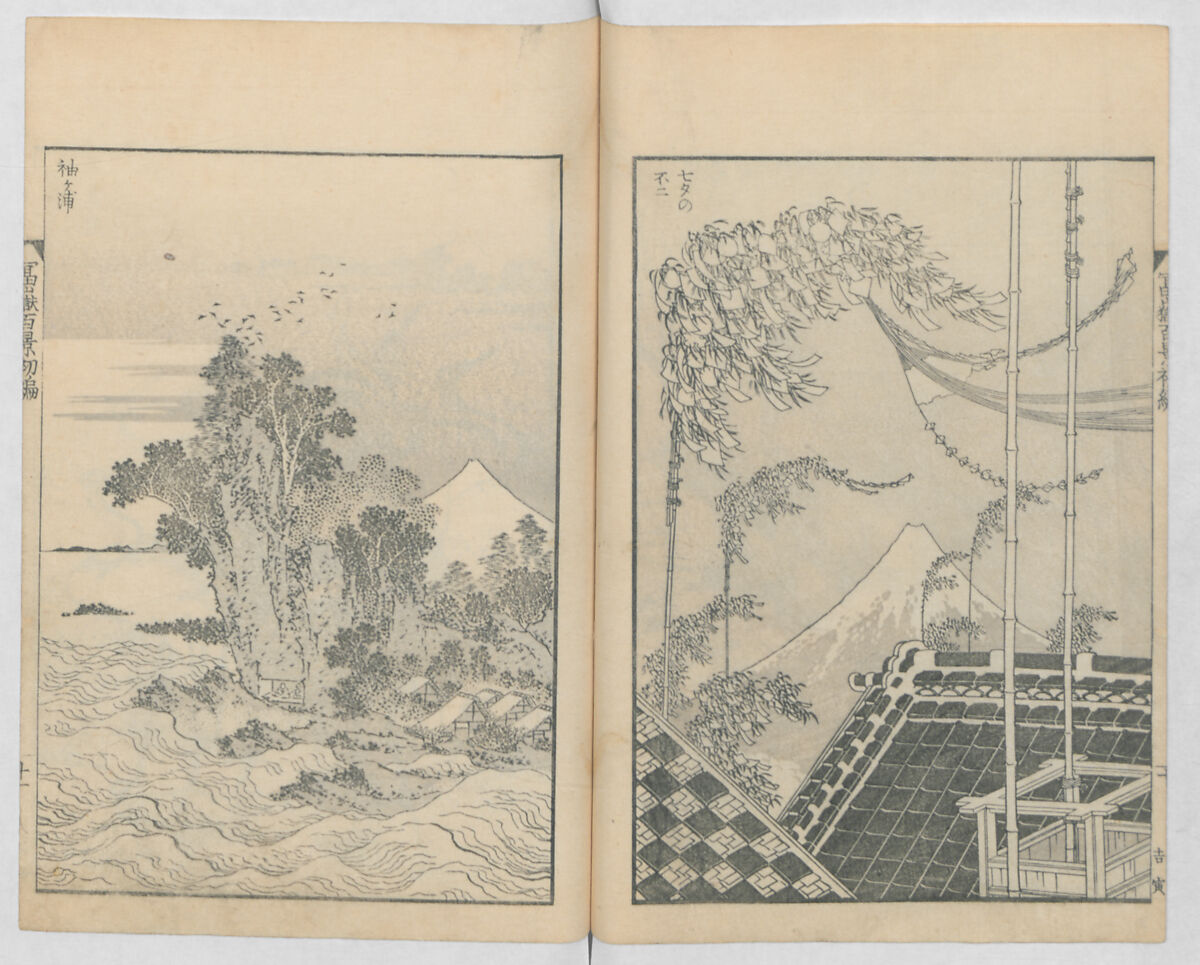One Hundred Views of Mount Fuji (Fugaku hyakkei, nihen)  富嶽百景二編, Katsushika Hokusai 葛飾北斎 (Japanese, Tokyo (Edo) 1760–1849 Tokyo (Edo)), Woodblock print (first and second volumes with 100 pages of illustrations); ink and color on paper, Japan
