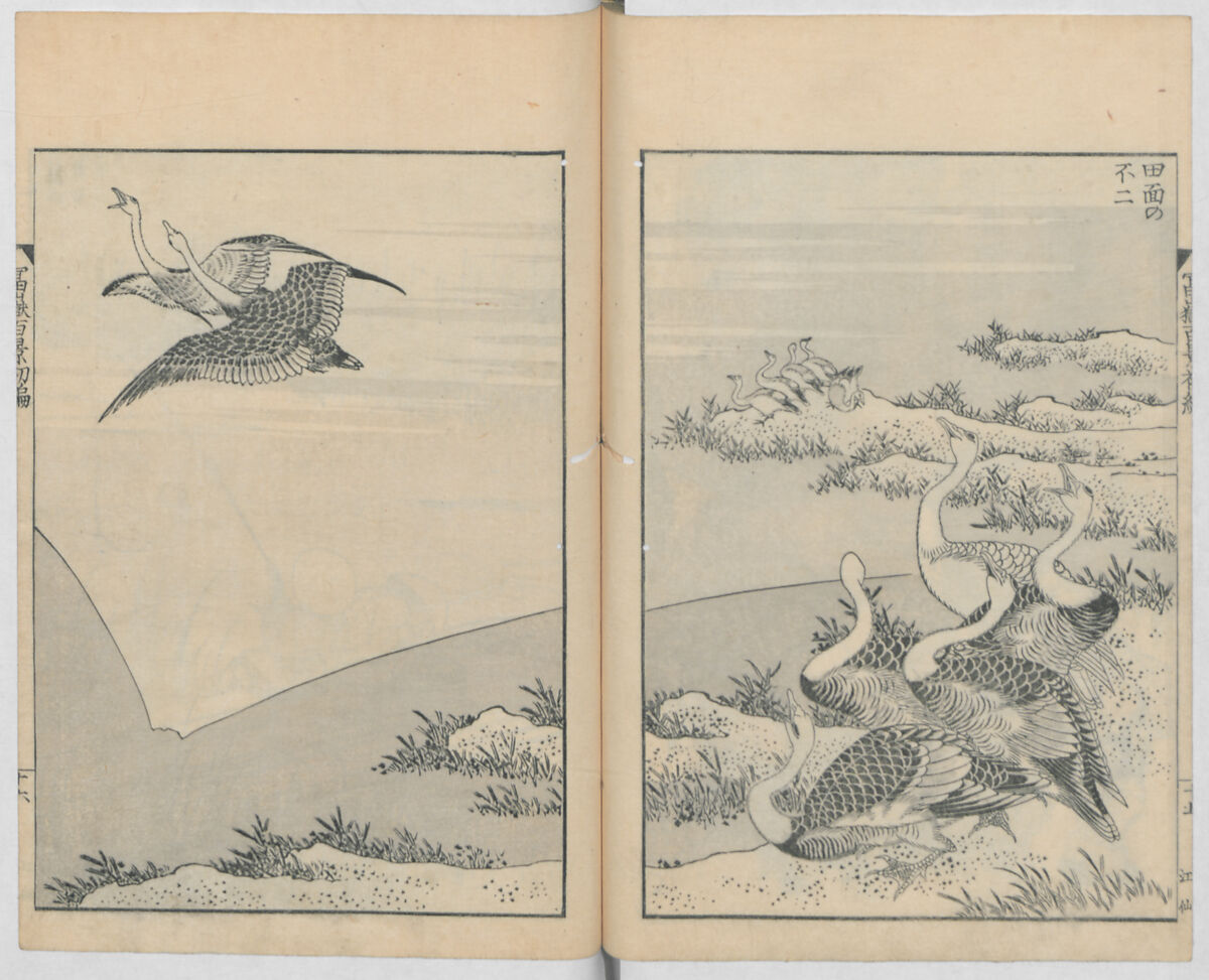 One Hundred Views of Mount Fuji (Fugaku hyakkei, nihen)  富嶽百景二編, Katsushika Hokusai 葛飾北斎 (Japanese, Tokyo (Edo) 1760–1849 Tokyo (Edo)), Woodblock print (first and second volumes with 100 pages of illustrations); ink and color on paper, Japan