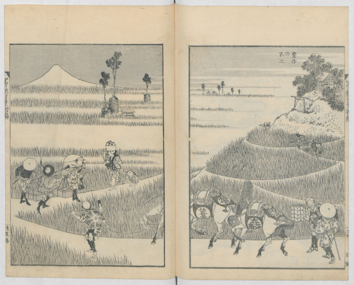 One Hundred Views of Mount Fuji (Fugaku hyakkei, nihen)  富嶽百景二編, Katsushika Hokusai 葛飾北斎 (Japanese, Tokyo (Edo) 1760–1849 Tokyo (Edo)), Woodblock print (first and second volumes with 100 pages of illustrations); ink and color on paper, Japan