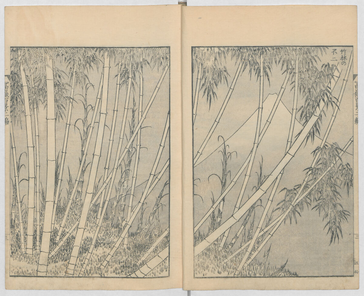 One Hundred Views of Mount Fuji (Fugaku hyakkei, nihen)  富嶽百景二編, Katsushika Hokusai 葛飾北斎 (Japanese, Tokyo (Edo) 1760–1849 Tokyo (Edo)), Woodblock print (first and second volumes with 100 pages of illustrations); ink and color on paper, Japan