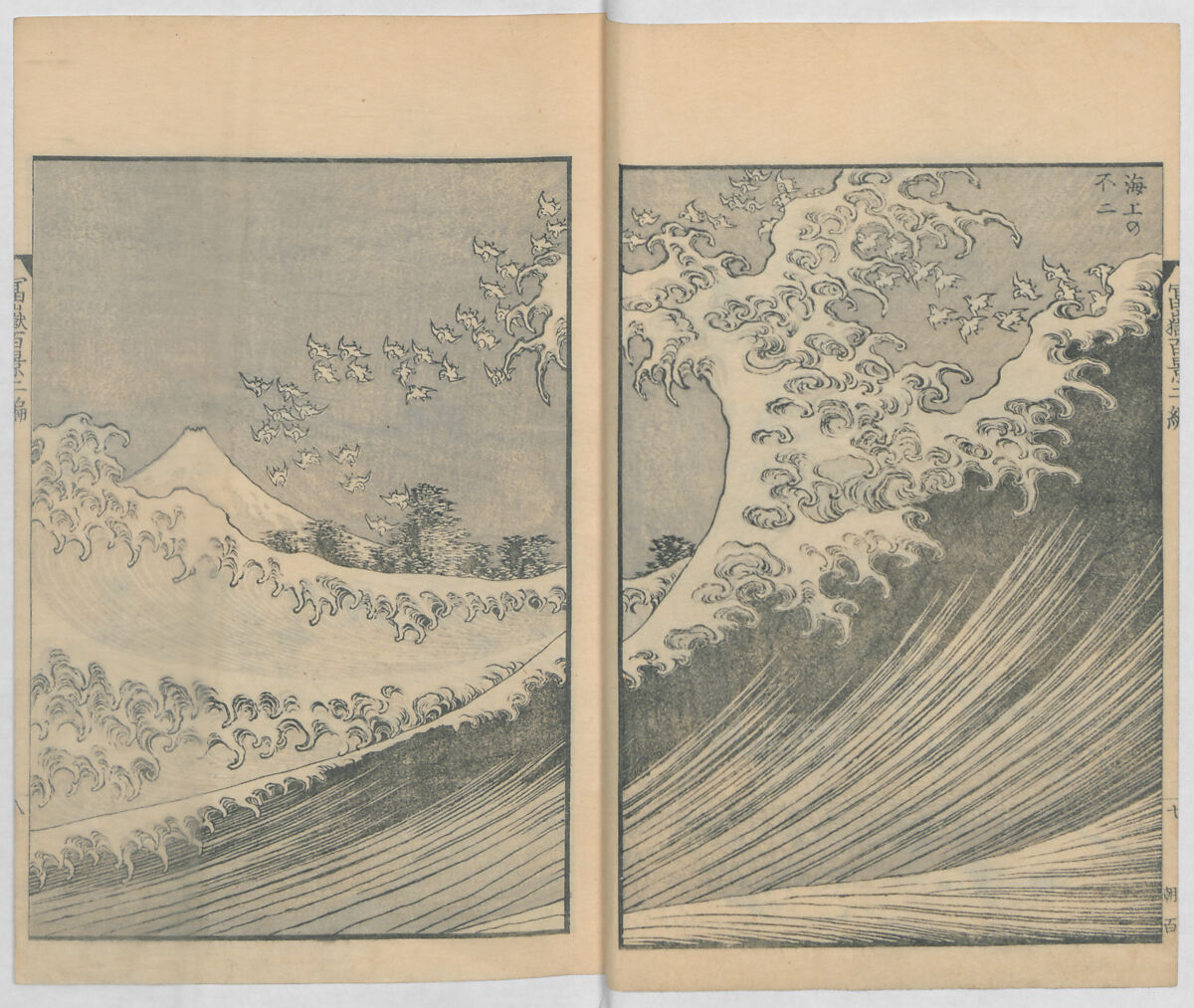One Hundred Views of Mount Fuji (Fugaku hyakkei, nihen)  富嶽百景二編, Katsushika Hokusai 葛飾北斎 (Japanese, Tokyo (Edo) 1760–1849 Tokyo (Edo)), Woodblock print (first and second volumes with 100 pages of illustrations); ink and color on paper, Japan