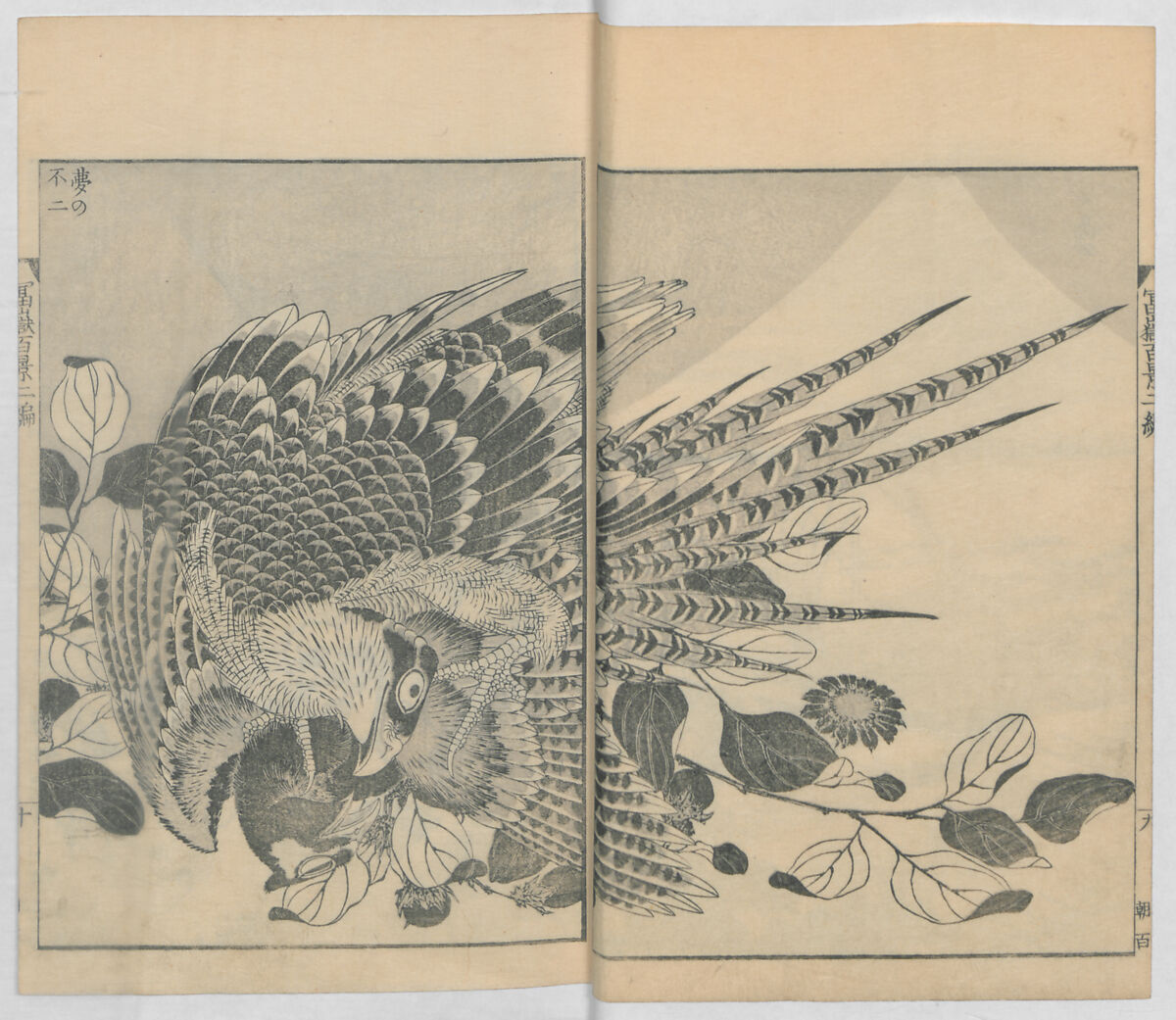 One Hundred Views of Mount Fuji (Fugaku hyakkei, nihen)  富嶽百景二編, Katsushika Hokusai 葛飾北斎 (Japanese, Tokyo (Edo) 1760–1849 Tokyo (Edo)), Woodblock print (first and second volumes with 100 pages of illustrations); ink and color on paper, Japan