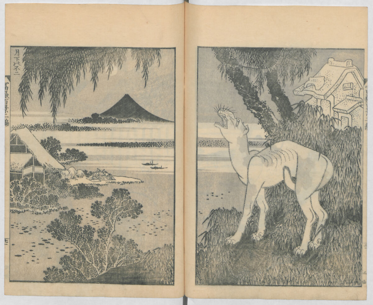 One Hundred Views of Mount Fuji (Fugaku hyakkei, nihen)  富嶽百景二編, Katsushika Hokusai 葛飾北斎 (Japanese, Tokyo (Edo) 1760–1849 Tokyo (Edo)), Woodblock print (first and second volumes with 100 pages of illustrations); ink and color on paper, Japan