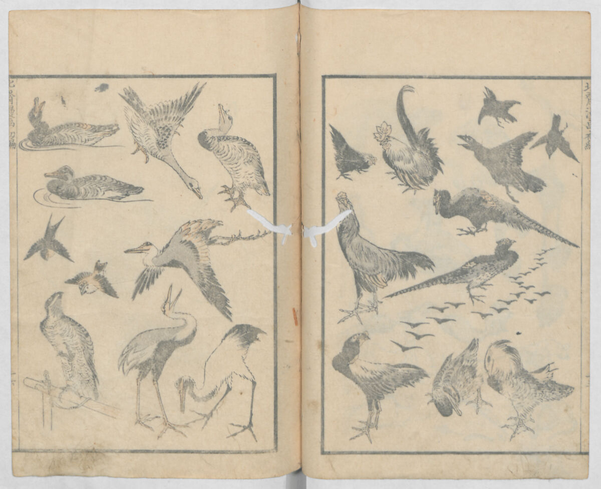 Random Sketches by Hokusai, Volumes 1 to 11, Katsushika Hokusai 葛飾北斎 (Japanese, Tokyo (Edo) 1760–1849 Tokyo (Edo)), Eleven volumes of woodblock printed books; ink and color on paper, Japan