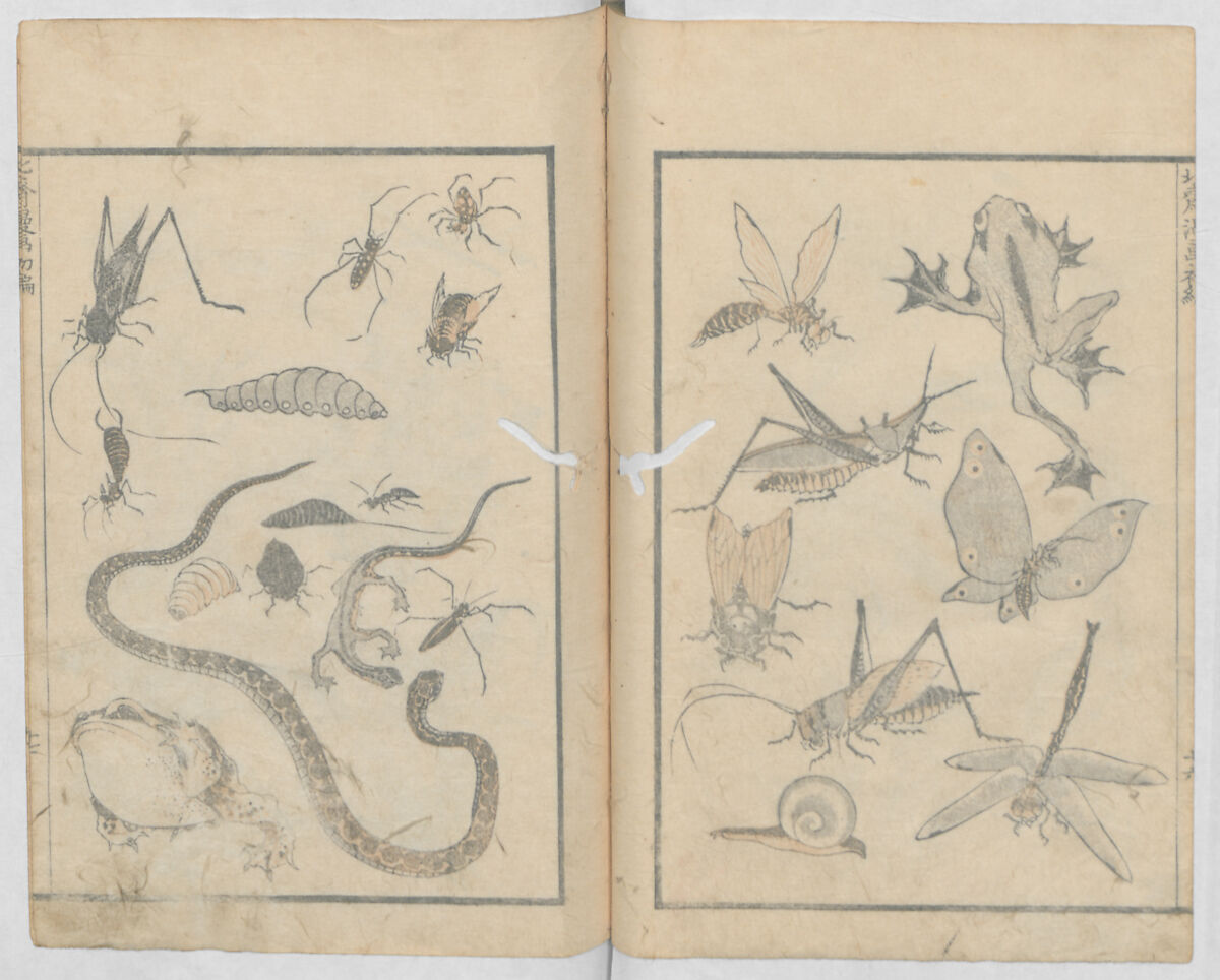 Random Sketches by Hokusai, Volumes 1 to 11, Katsushika Hokusai 葛飾北斎 (Japanese, Tokyo (Edo) 1760–1849 Tokyo (Edo)), Eleven volumes of woodblock printed books; ink and color on paper, Japan