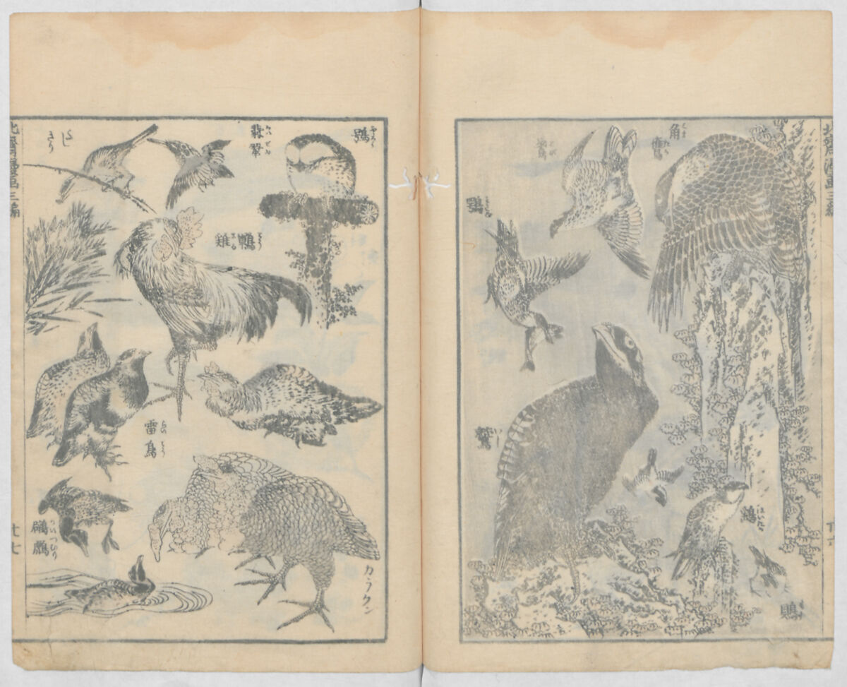 Random Sketches by Hokusai, Volumes 1 to 11, Katsushika Hokusai 葛飾北斎 (Japanese, Tokyo (Edo) 1760–1849 Tokyo (Edo)), Eleven volumes of woodblock printed books; ink and color on paper, Japan