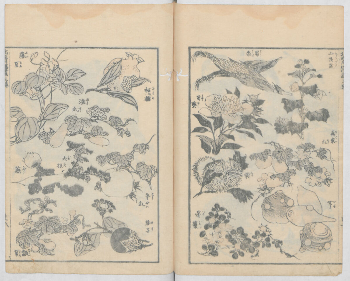 Random Sketches by Hokusai, Volumes 1 to 11, Katsushika Hokusai 葛飾北斎 (Japanese, Tokyo (Edo) 1760–1849 Tokyo (Edo)), Eleven volumes of woodblock printed books; ink and color on paper, Japan