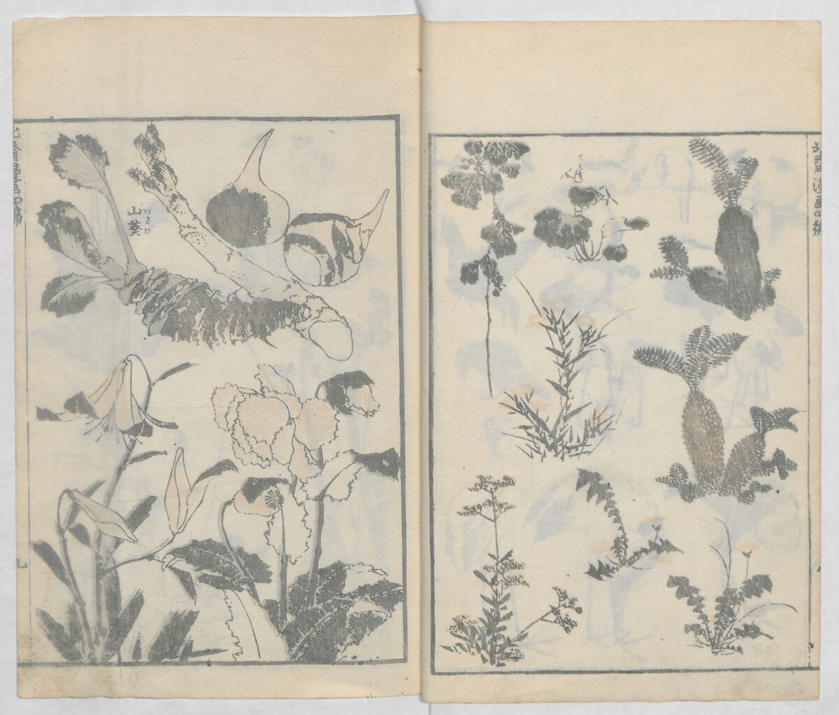 Random Sketches by Hokusai, Volumes 1 to 11, Katsushika Hokusai 葛飾北斎 (Japanese, Tokyo (Edo) 1760–1849 Tokyo (Edo)), Eleven volumes of woodblock printed books; ink and color on paper, Japan