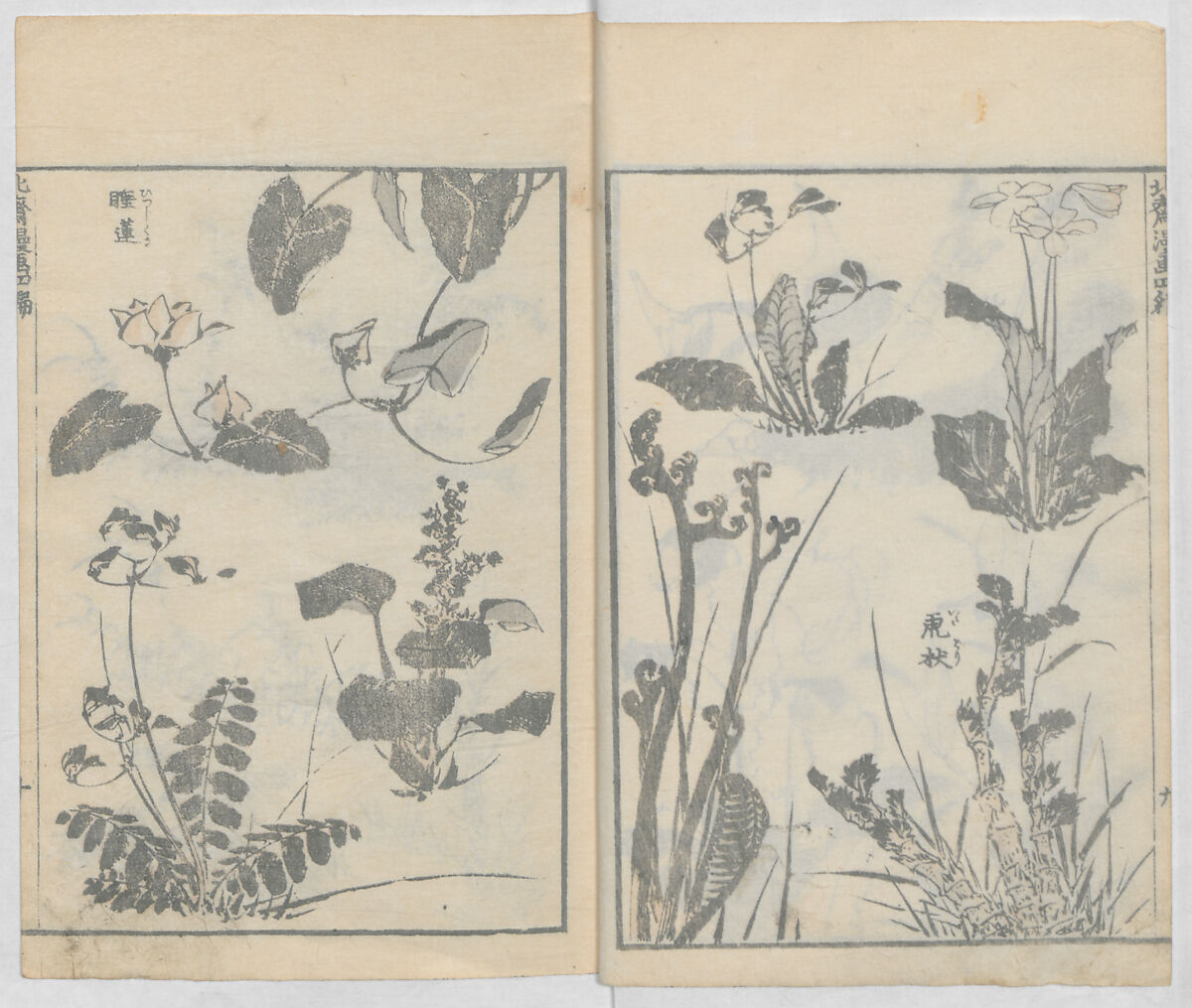 Random Sketches by Hokusai, Volumes 1 to 11, Katsushika Hokusai 葛飾北斎 (Japanese, Tokyo (Edo) 1760–1849 Tokyo (Edo)), Eleven volumes of woodblock printed books; ink and color on paper, Japan