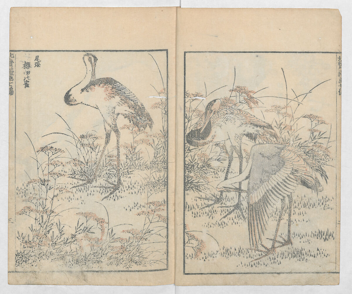 Random Sketches by Hokusai, Volumes 1 to 11, Katsushika Hokusai 葛飾北斎 (Japanese, Tokyo (Edo) 1760–1849 Tokyo (Edo)), Eleven volumes of woodblock printed books; ink and color on paper, Japan