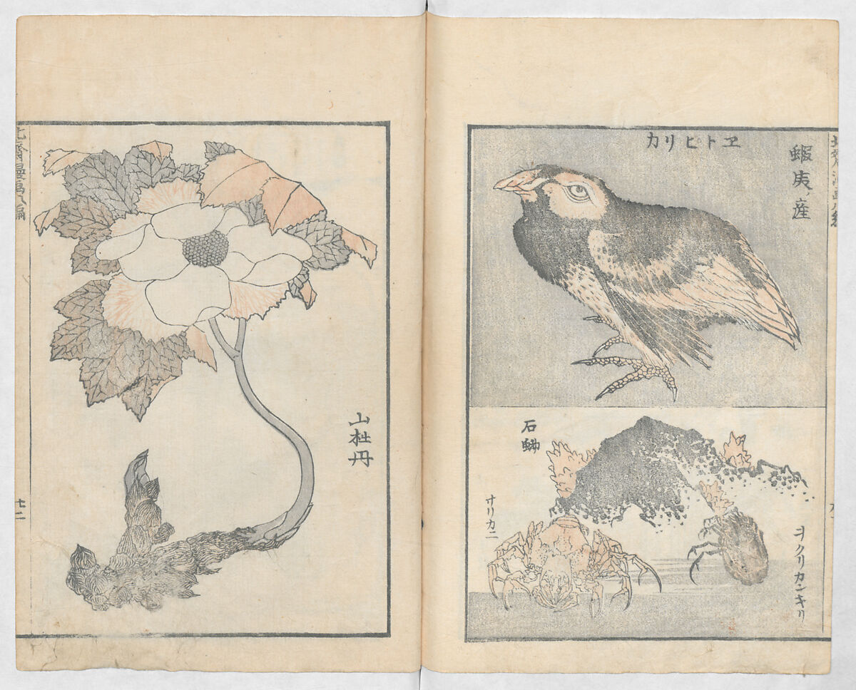 Random Sketches by Hokusai, Volumes 1 to 11, Katsushika Hokusai 葛飾北斎 (Japanese, Tokyo (Edo) 1760–1849 Tokyo (Edo)), Eleven volumes of woodblock printed books; ink and color on paper, Japan