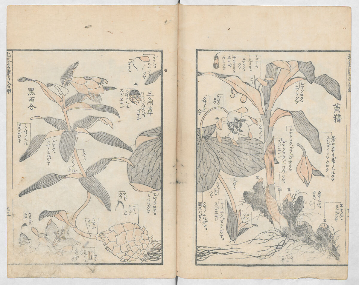 Random Sketches by Hokusai, Volumes 1 to 11, Katsushika Hokusai 葛飾北斎 (Japanese, Tokyo (Edo) 1760–1849 Tokyo (Edo)), Eleven volumes of woodblock printed books; ink and color on paper, Japan
