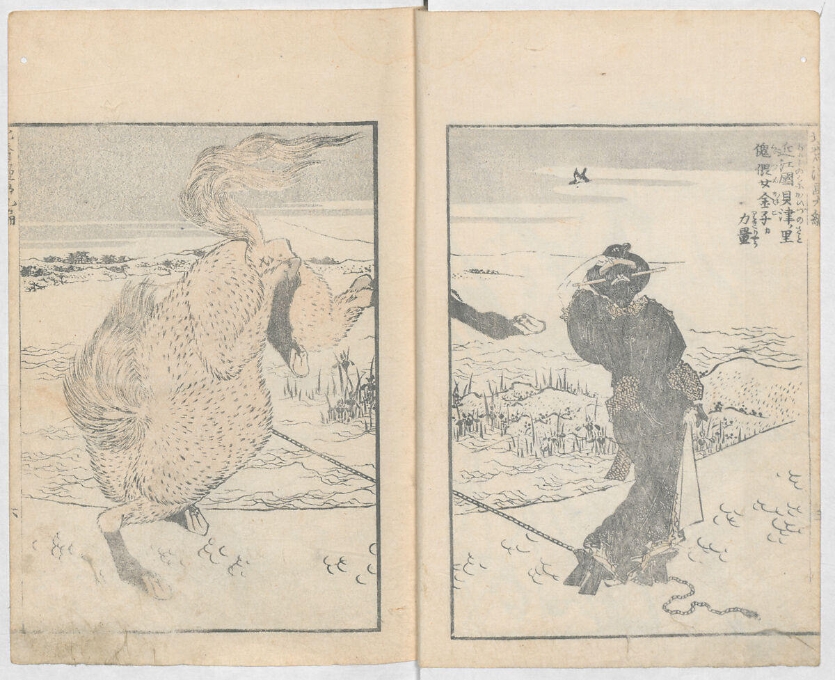 Random Sketches by Hokusai, Volumes 1 to 11, Katsushika Hokusai 葛飾北斎 (Japanese, Tokyo (Edo) 1760–1849 Tokyo (Edo)), Eleven volumes of woodblock printed books; ink and color on paper, Japan