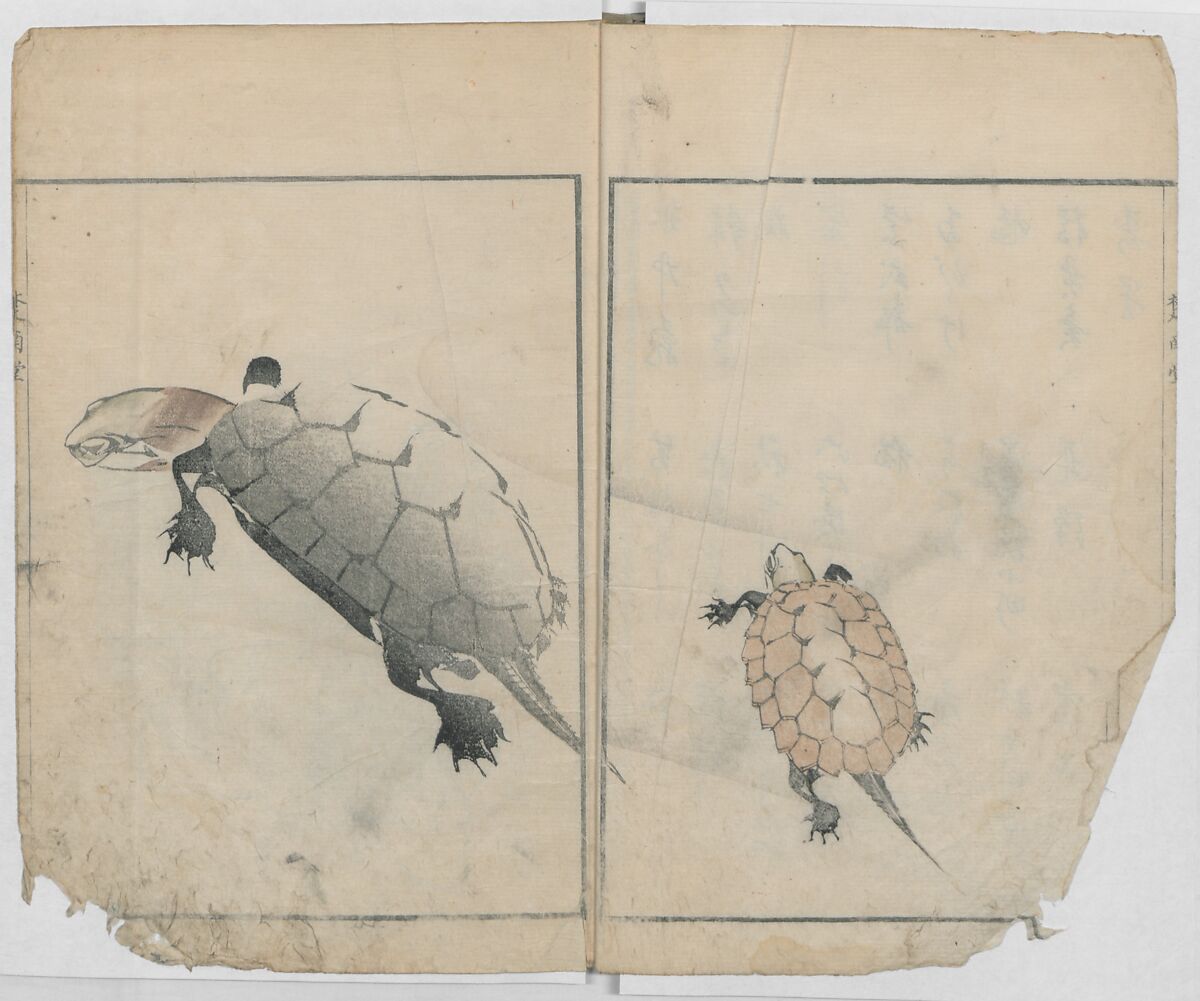 Sonan's Picture Book (Sonan gafu) 楚南画譜, Onishi Chinnen 大西椿年 (Japanese, 1792–1851), Ink on paper, Japan