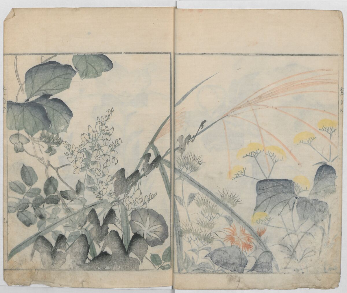 Sonan's Picture Book (Sonan gafu) 楚南画譜, Onishi Chinnen 大西椿年 (Japanese, 1792–1851), Ink on paper, Japan