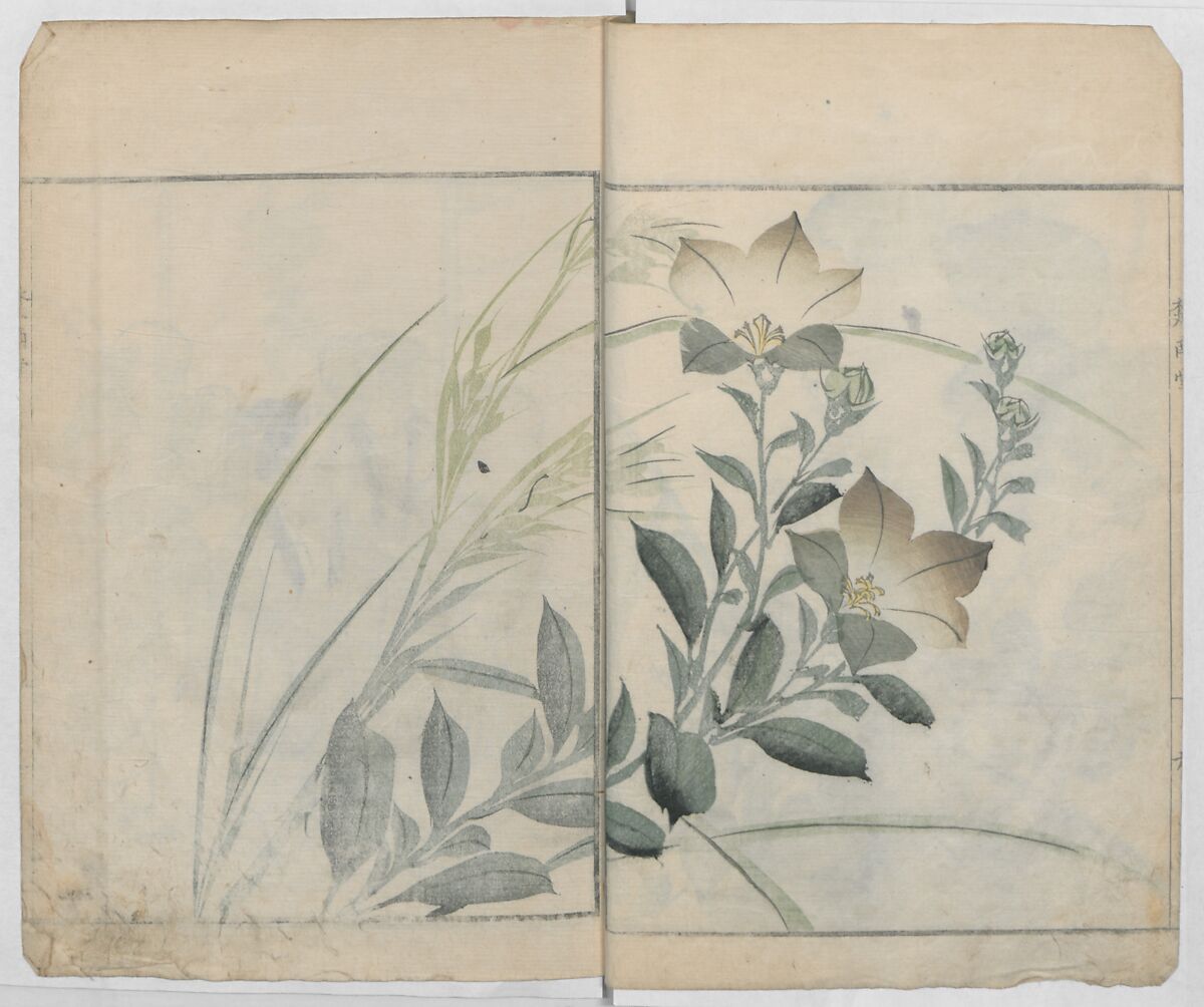 Sonan's Picture Book (Sonan gafu) 楚南画譜, Onishi Chinnen 大西椿年 (Japanese, 1792–1851), Ink on paper, Japan