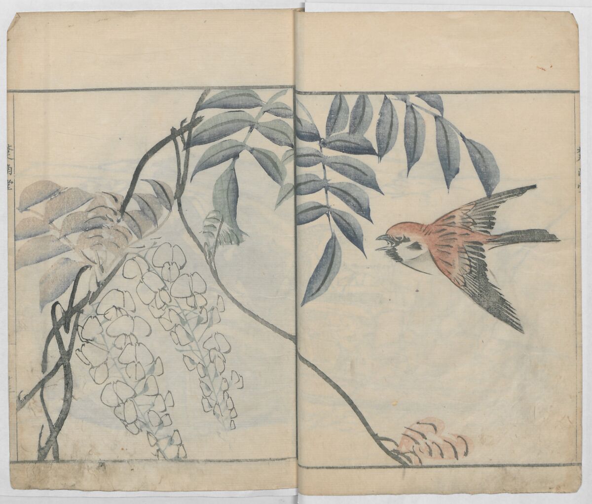 Sonan's Picture Book (Sonan gafu) 楚南画譜, Onishi Chinnen 大西椿年 (Japanese, 1792–1851), Ink on paper, Japan
