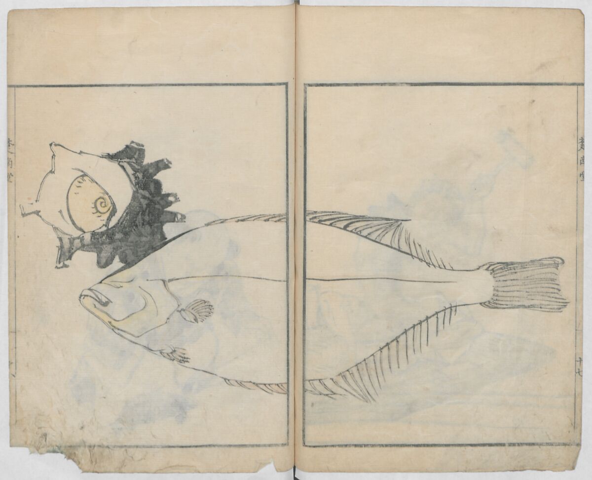 Sonan's Picture Book (Sonan gafu) 楚南画譜, Onishi Chinnen 大西椿年 (Japanese, 1792–1851), Ink on paper, Japan