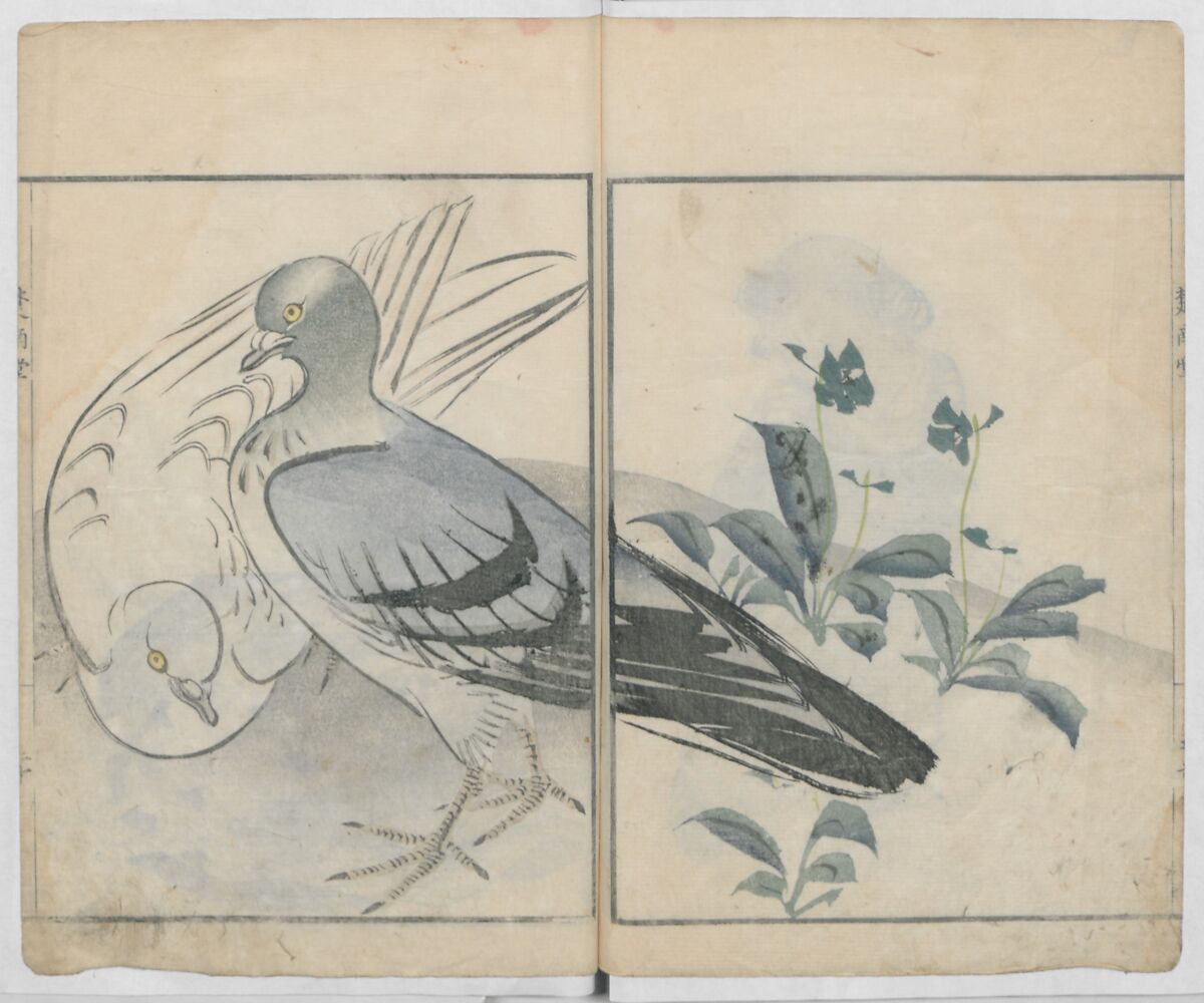 Sonan's Picture Book (Sonan gafu) 楚南画譜, Onishi Chinnen 大西椿年 (Japanese, 1792–1851), Ink on paper, Japan