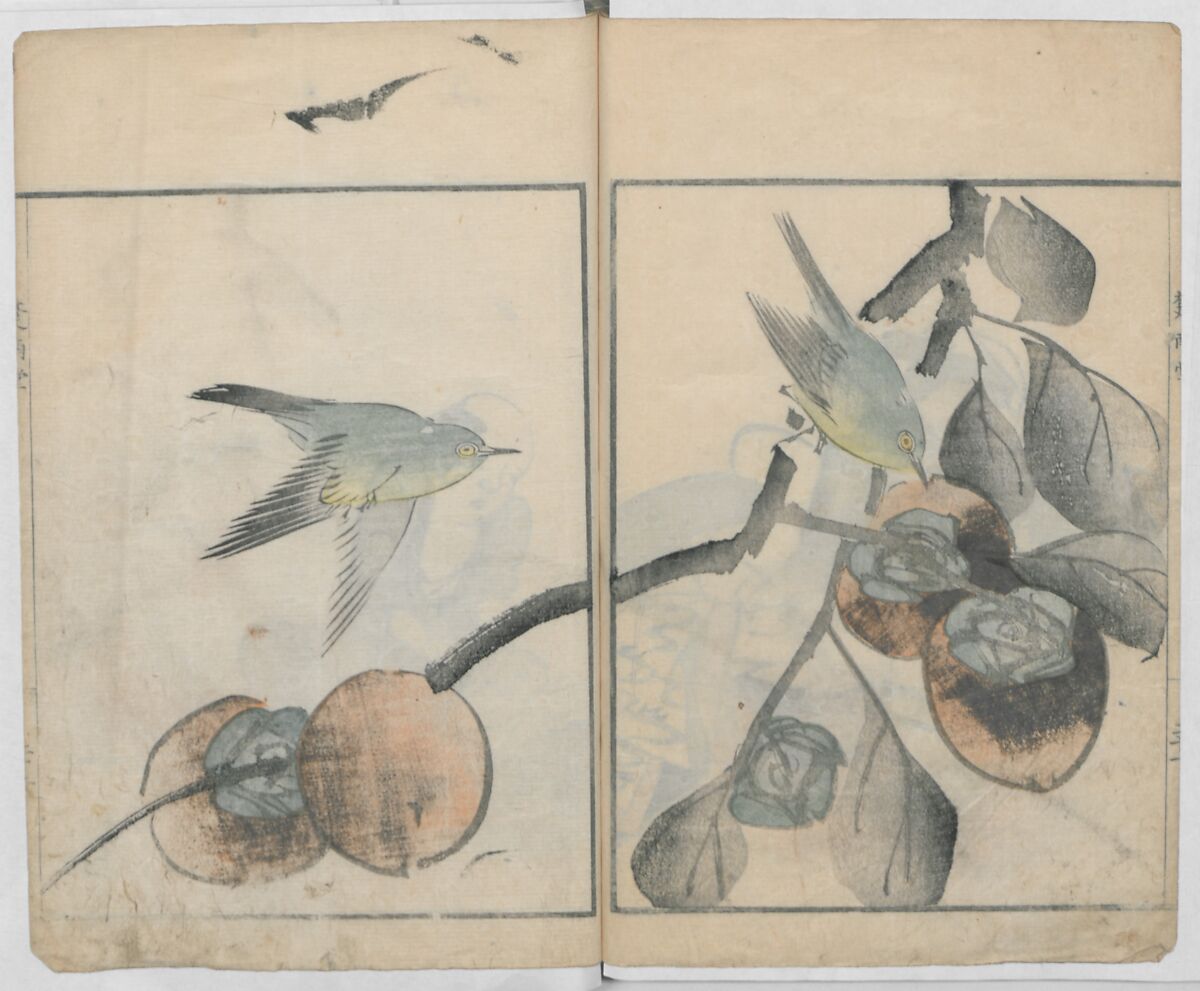 Sonan's Picture Book (Sonan gafu) 楚南画譜, Onishi Chinnen 大西椿年 (Japanese, 1792–1851), Ink on paper, Japan