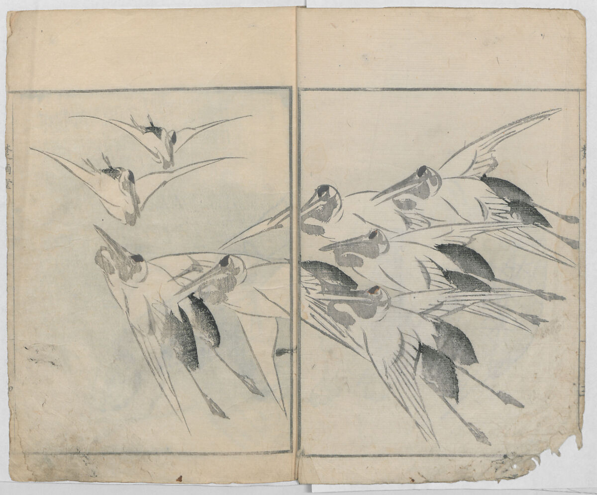 Sonan's Picture Book (Sonan gafu) 楚南画譜, Onishi Chinnen 大西椿年 (Japanese, 1792–1851), Ink on paper, Japan 