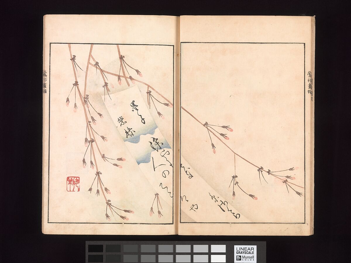 Ōson (Hōitsu) Picture Album (Ōson gafu), Sakai Hōitsu (Japanese, 1761–1828), Woodblock printed book; ink and color on paper, Japan