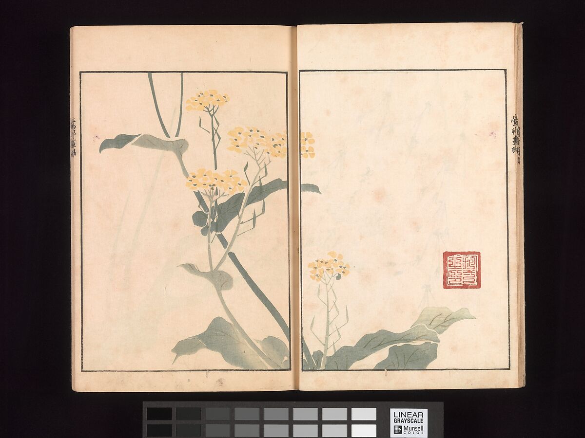 Ōson (Hōitsu) Picture Album (Ōson gafu), Sakai Hōitsu (Japanese, 1761–1828), Woodblock printed book; ink and color on paper, Japan