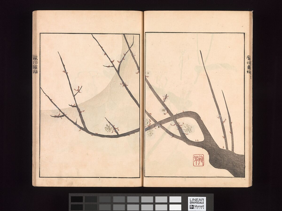 Ōson (Hōitsu) Picture Album (Ōson gafu), Sakai Hōitsu (Japanese, 1761–1828), Woodblock printed book; ink and color on paper, Japan