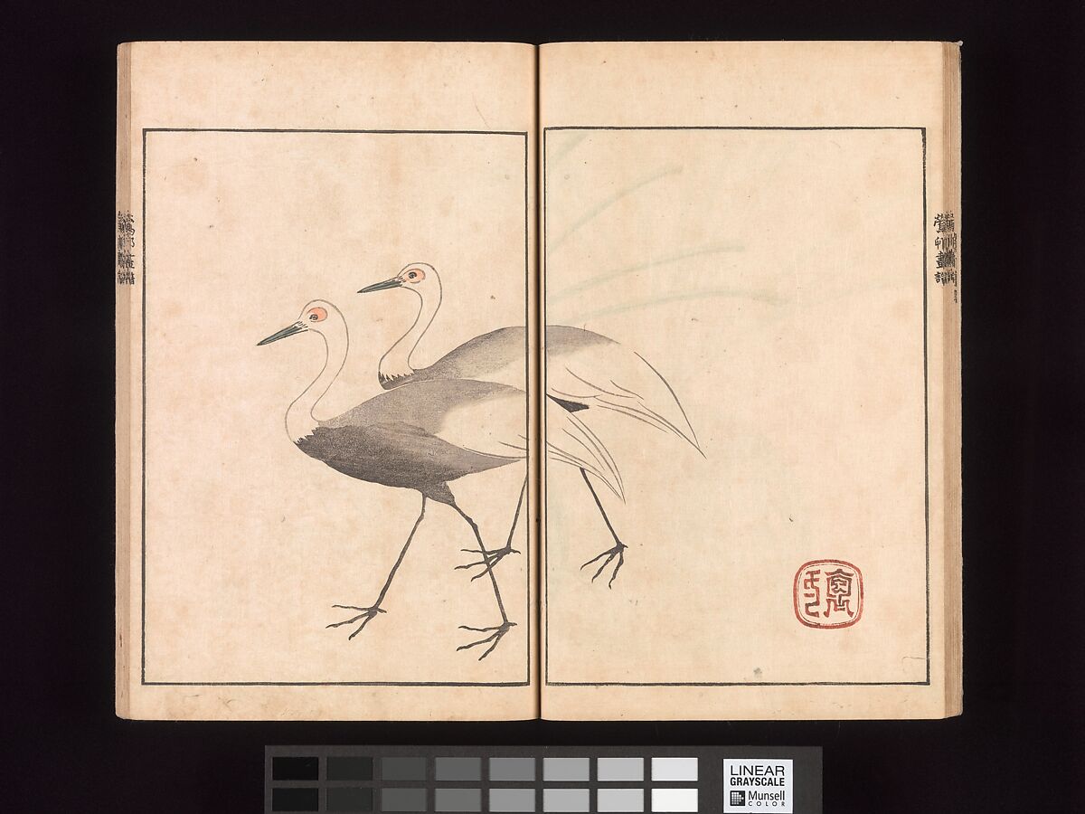 Ōson (Hōitsu) Picture Album (Ōson gafu), Sakai Hōitsu (Japanese, 1761–1828), Woodblock printed book; ink and color on paper, Japan