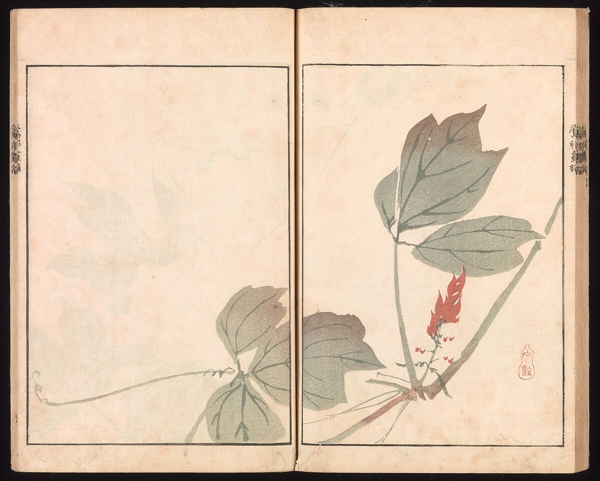 Ōson (Hōitsu) Picture Album (Ōson gafu), Sakai Hōitsu (Japanese, 1761–1828), Woodblock printed book; ink and color on paper, Japan