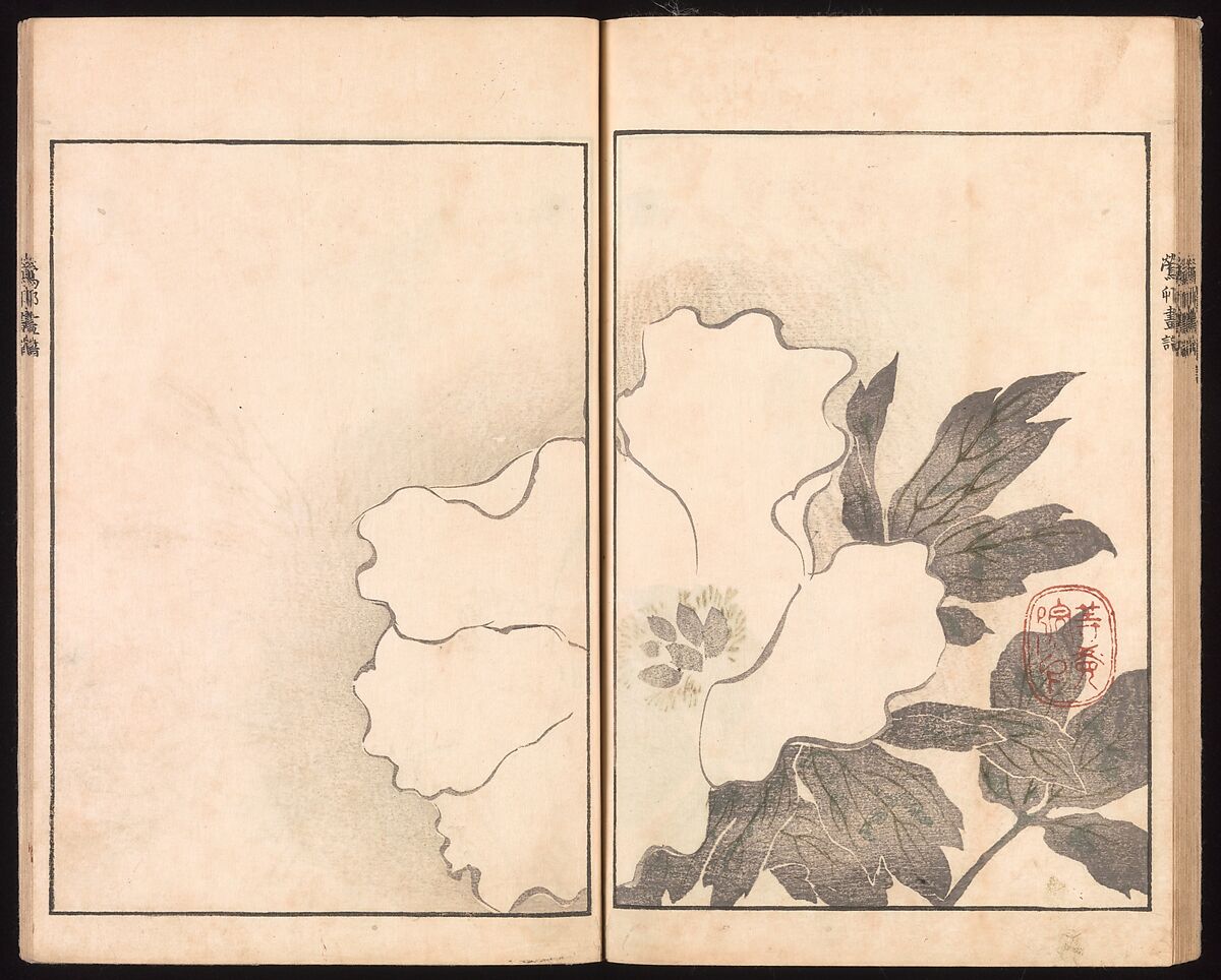 Ōson (Hōitsu) Picture Album (Ōson gafu), Sakai Hōitsu (Japanese, 1761–1828), Woodblock printed book; ink and color on paper, Japan