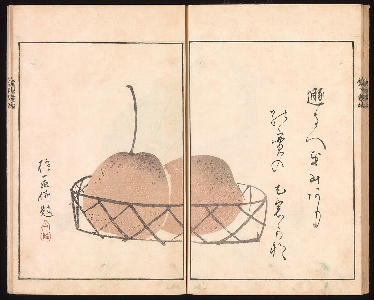 Ōson (Hōitsu) Picture Album (Ōson gafu), Sakai Hōitsu (Japanese, 1761–1828), Woodblock printed book; ink and color on paper, Japan