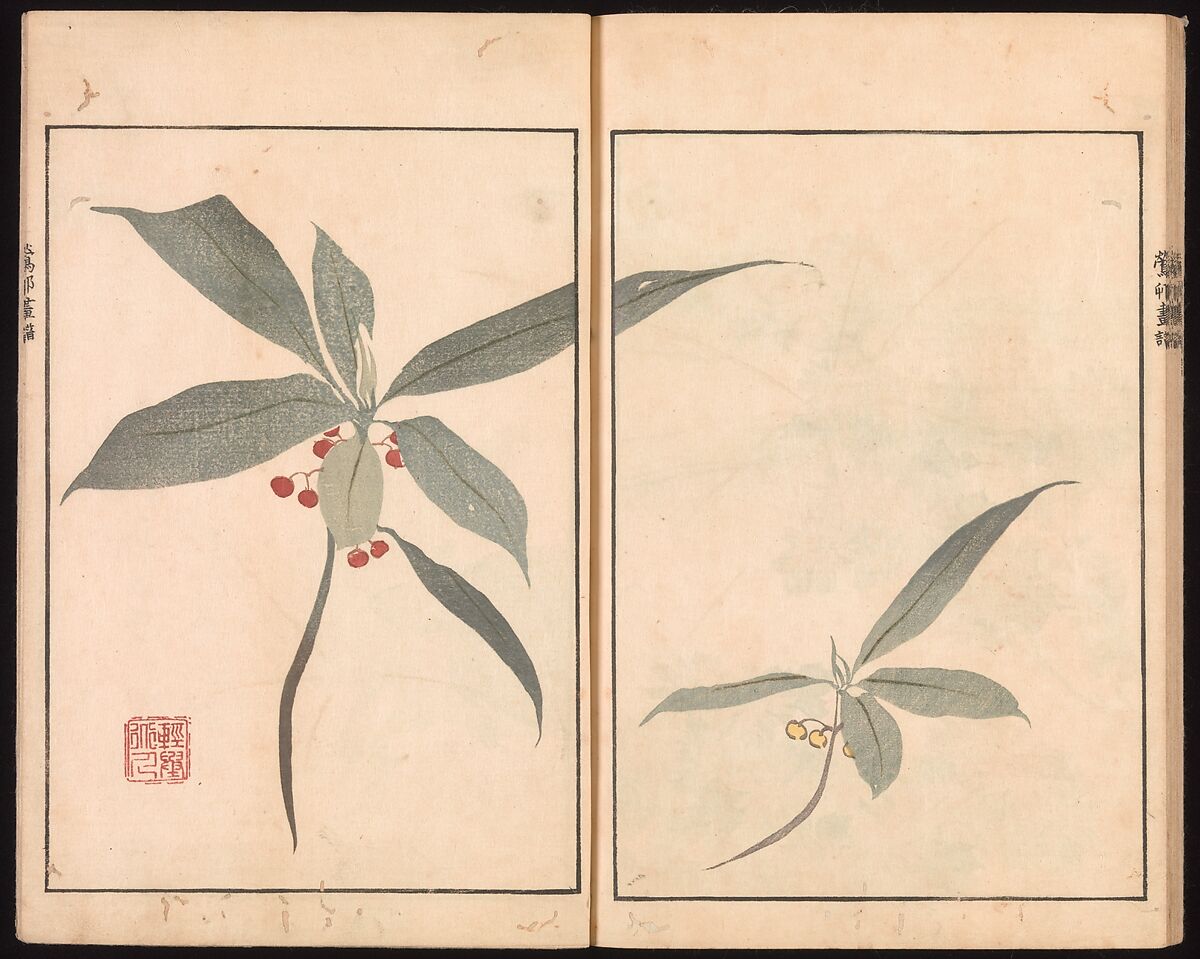 Ōson (Hōitsu) Picture Album (Ōson gafu), Sakai Hōitsu (Japanese, 1761–1828), Woodblock printed book; ink and color on paper, Japan