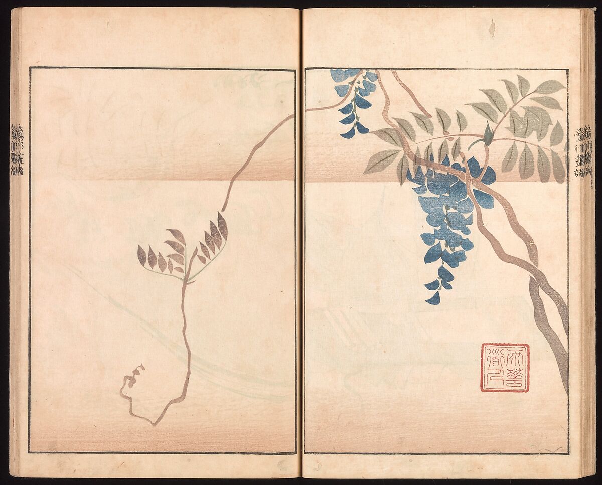 Ōson (Hōitsu) Picture Album (Ōson gafu), Sakai Hōitsu (Japanese, 1761–1828), Woodblock printed book; ink and color on paper, Japan