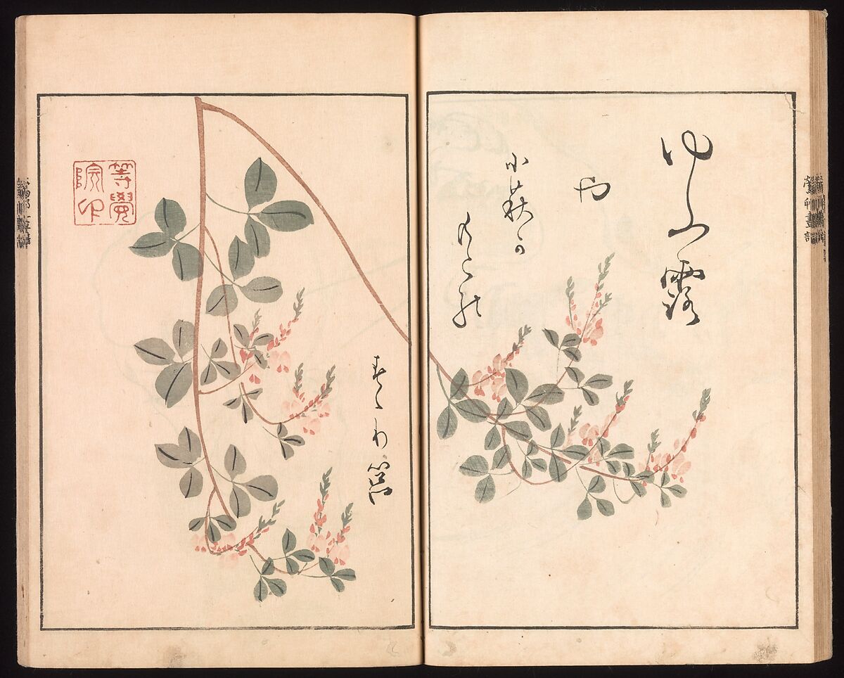 Ōson (Hōitsu) Picture Album (Ōson gafu), Sakai Hōitsu (Japanese, 1761–1828), Woodblock printed book; ink and color on paper, Japan