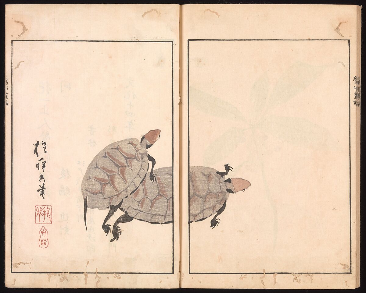 Ōson (Hōitsu) Picture Album (Ōson gafu), Sakai Hōitsu (Japanese, 1761–1828), Woodblock printed book; ink and color on paper, Japan
